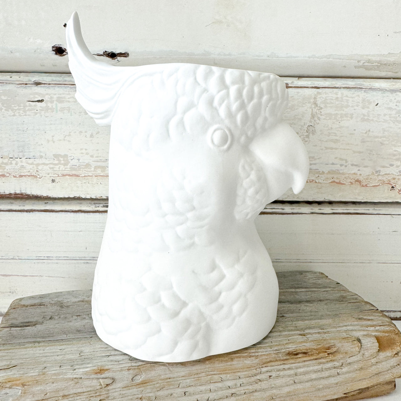 Feather Cockatoo Vase