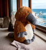 Platypus Soft Toy