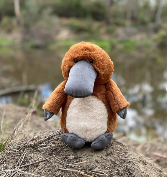 Platypus Soft Toy