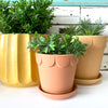 Dolly Pot - Large Ochre