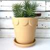 Dolly Pot - Large Ochre