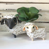 Black Sheep Planter