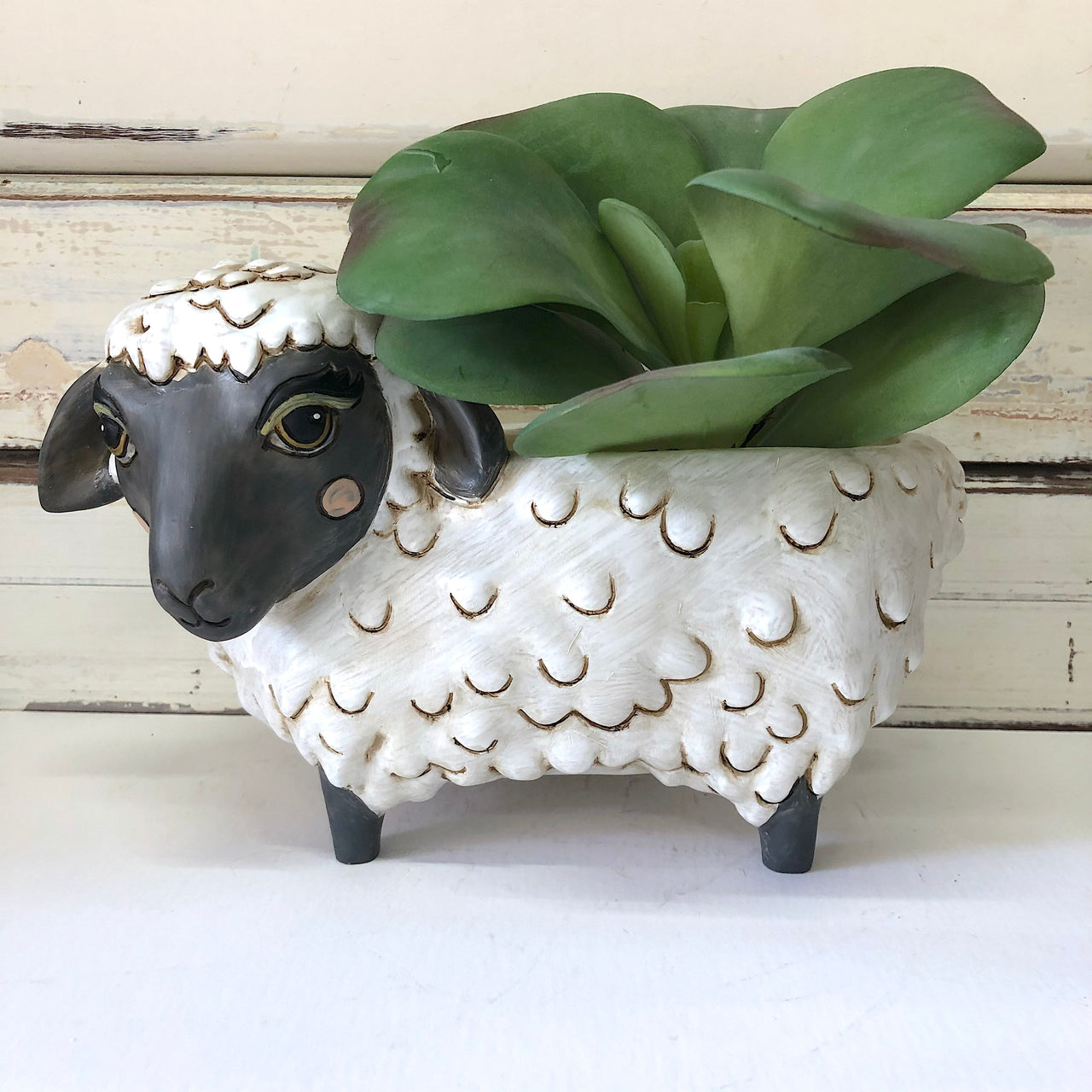 Black Sheep Planter