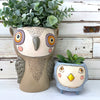 Hootie Owl Planter